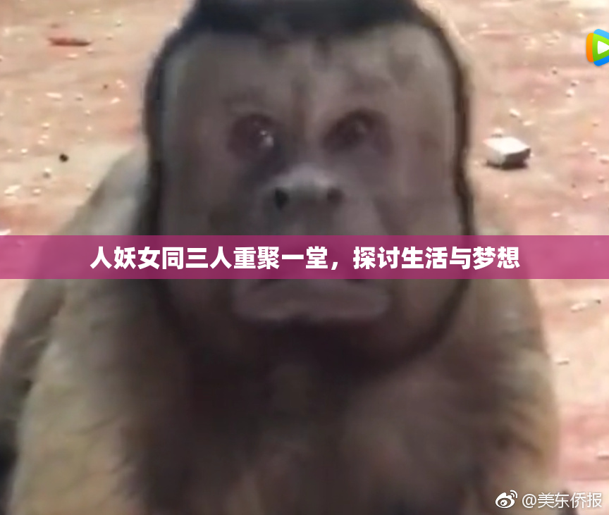 人妖女同三人重聚一堂，探讨生活与梦想