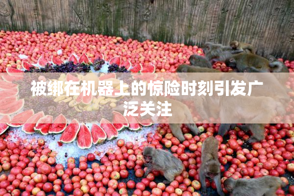 被绑在机器上的惊险时刻引发广泛关注