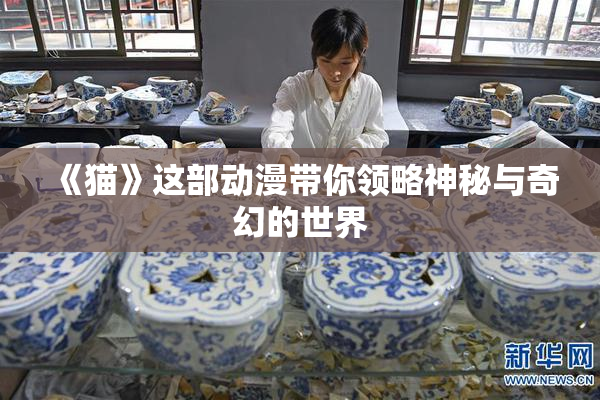 《猫》这部动漫带你领略神秘与奇幻的世界