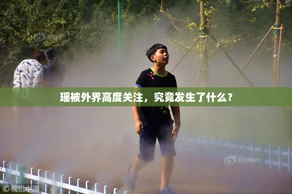 瑶被外界高度关注，究竟发生了什么？