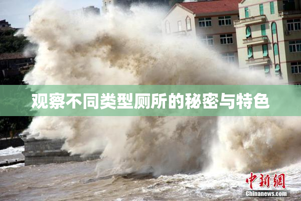 观察不同类型厕所的秘密与特色
