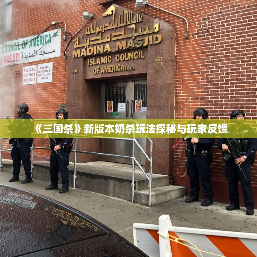 《三国杀》新版本奶杀玩法探秘与玩家反馈