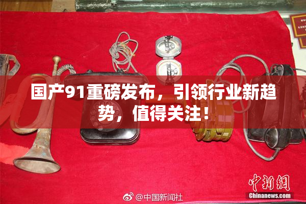 国产91重磅发布，引领行业新趋势，值得关注！