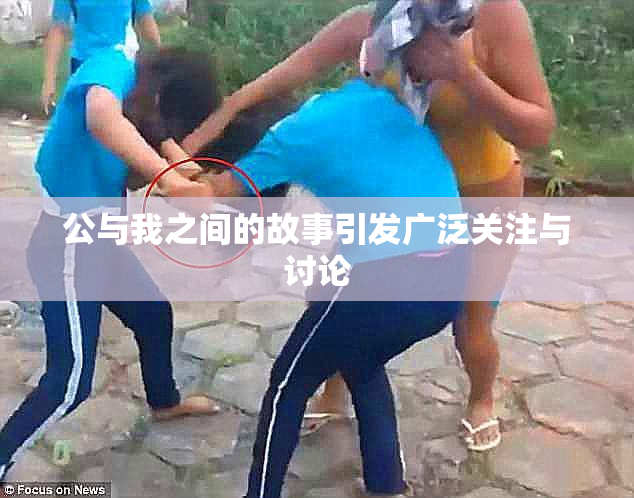 公与我之间的故事引发广泛关注与讨论