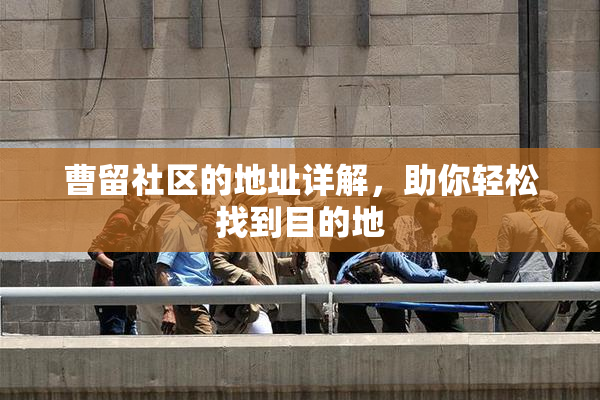 曹留社区的地址详解，助你轻松找到目的地