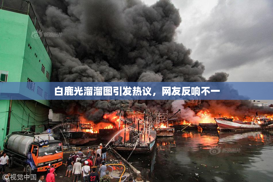 白鹿光溜溜图引发热议，网友反响不一