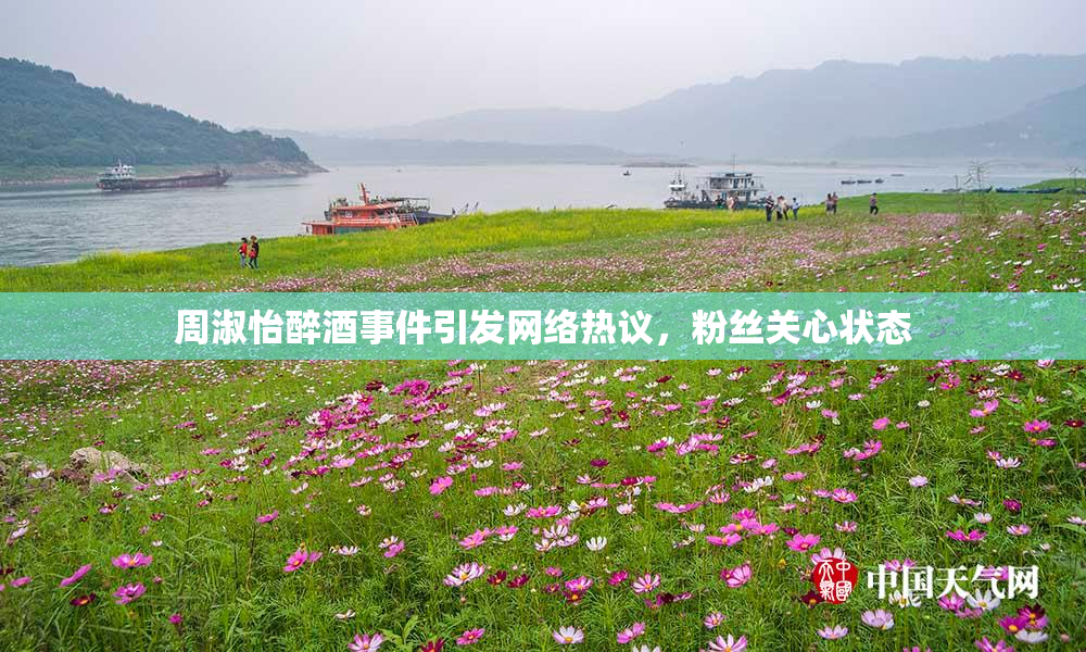 周淑怡醉酒事件引发网络热议，粉丝关心状态