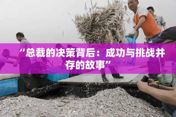 “总裁的决策背后：成功与挑战并存的故事”