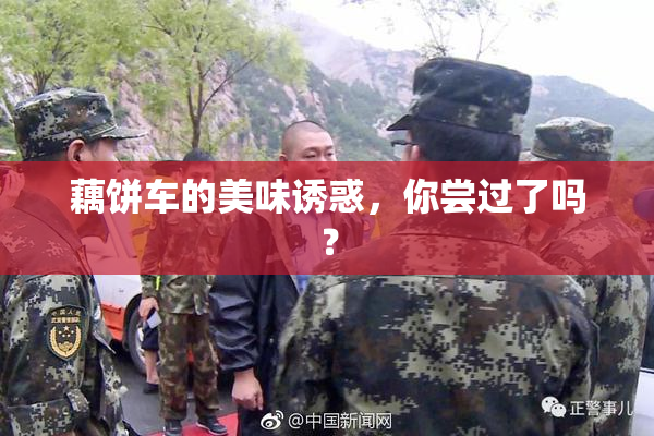 藕饼车的美味诱惑，你尝过了吗？