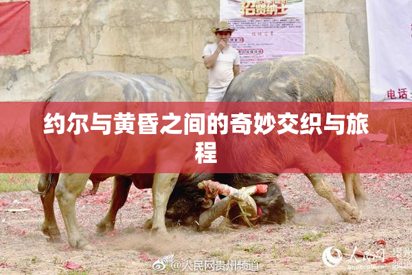 约尔与黄昏之间的奇妙交织与旅程