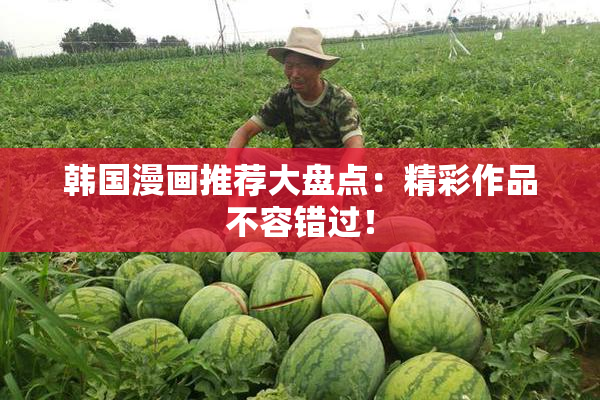 韩国漫画推荐大盘点：精彩作品不容错过！