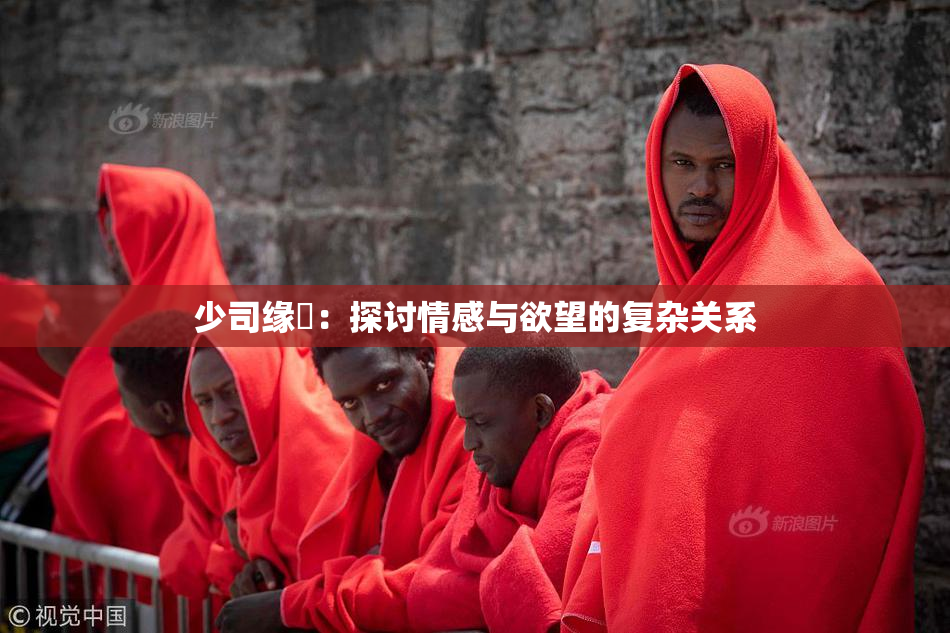 少司缘婬：探讨情感与欲望的复杂关系
