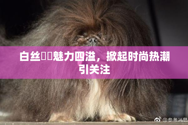 白丝妺妺魅力四溢，掀起时尚热潮引关注