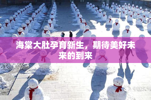 海棠大肚孕育新生，期待美好未来的到来