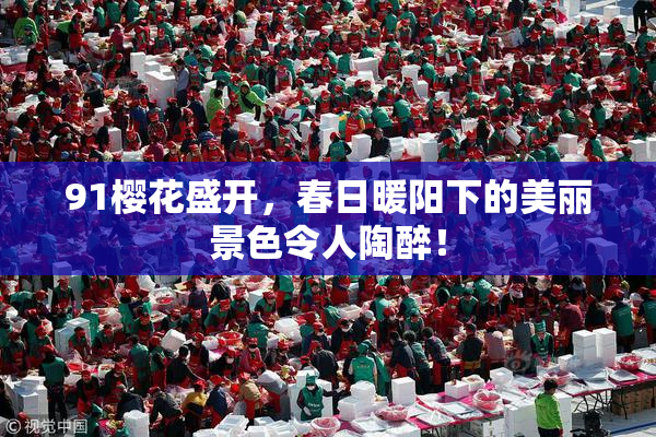 91樱花盛开，春日暖阳下的美丽景色令人陶醉！