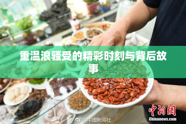 重温浪骚受的精彩时刻与背后故事