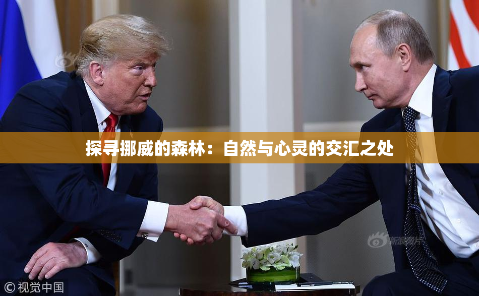探寻挪威的森林：自然与心灵的交汇之处