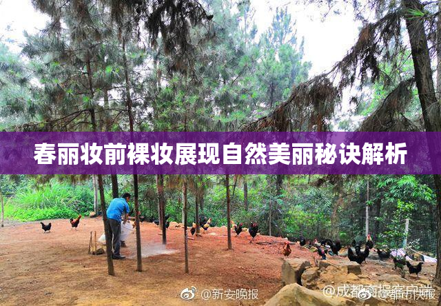 春丽妆前裸妆展现自然美丽秘诀解析