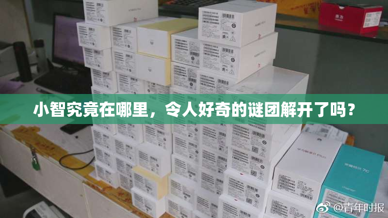 小智究竟在哪里，令人好奇的谜团解开了吗？