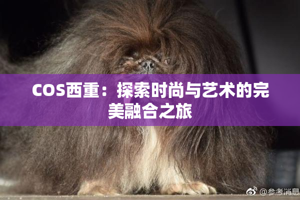 COS西重：探索时尚与艺术的完美融合之旅