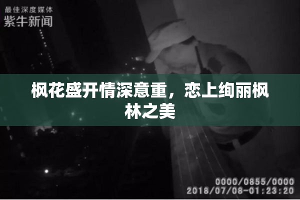 枫花盛开情深意重，恋上绚丽枫林之美