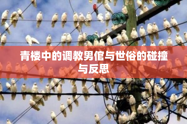 青楼中的调教男倌与世俗的碰撞与反思