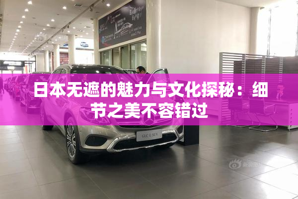 日本无遮的魅力与文化探秘：细节之美不容错过