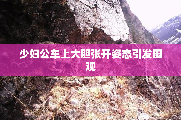 少妇公车上大胆张开姿态引发围观