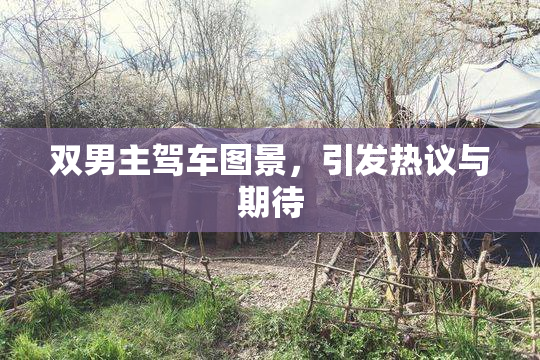 双男主驾车图景，引发热议与期待