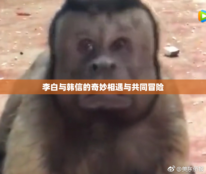 李白与韩信的奇妙相遇与共同冒险