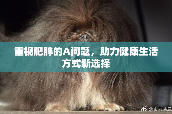 重视肥胖的A问题，助力健康生活方式新选择