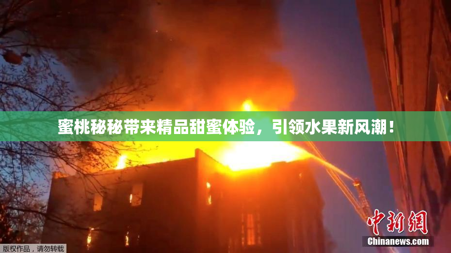 蜜桃秘秘带来精品甜蜜体验，引领水果新风潮！