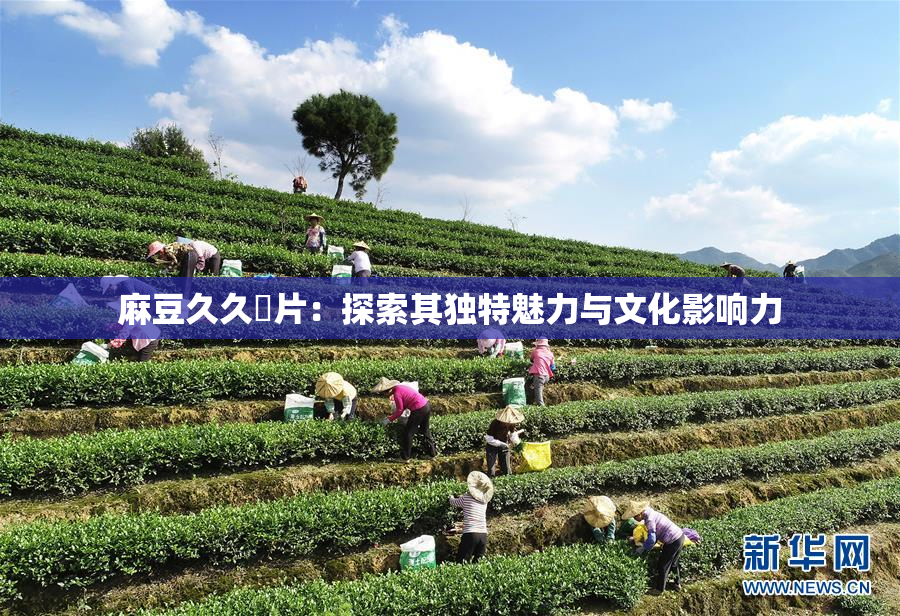 麻豆久久婬片：探索其独特魅力与文化影响力
