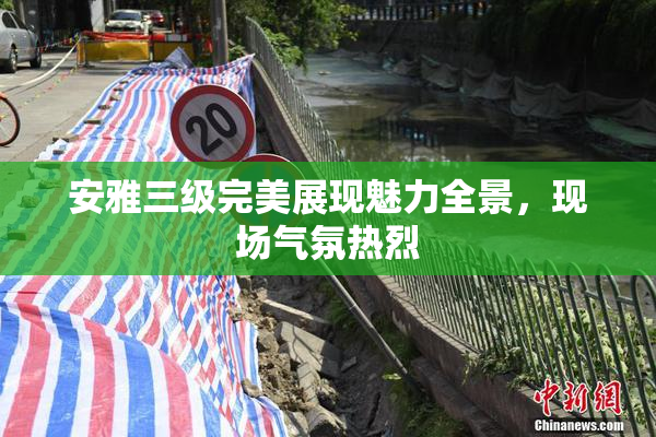 安雅三级完美展现魅力全景，现场气氛热烈