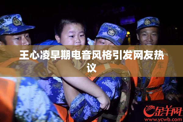 王心凌早期电音风格引发网友热议