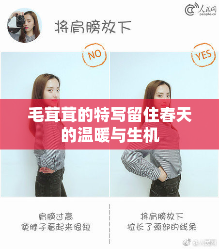 毛茸茸的特写留住春天的温暖与生机