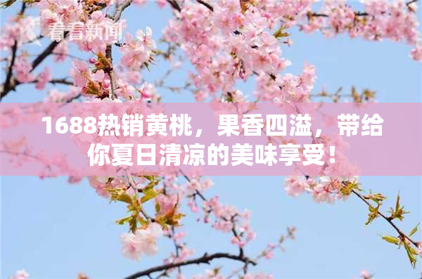 1688热销黄桃，果香四溢，带给你夏日清凉的美味享受！