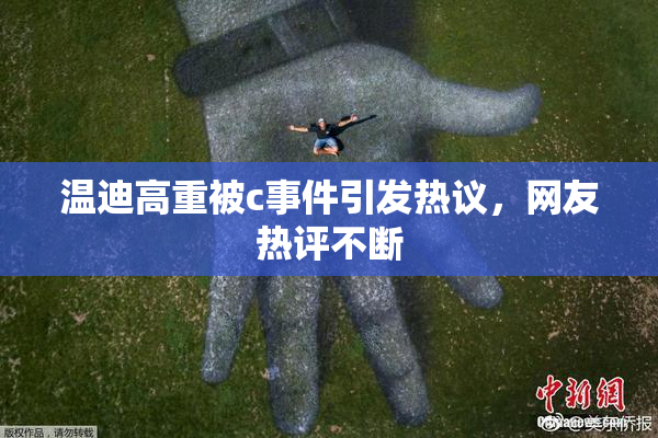 温迪高重被c事件引发热议，网友热评不断