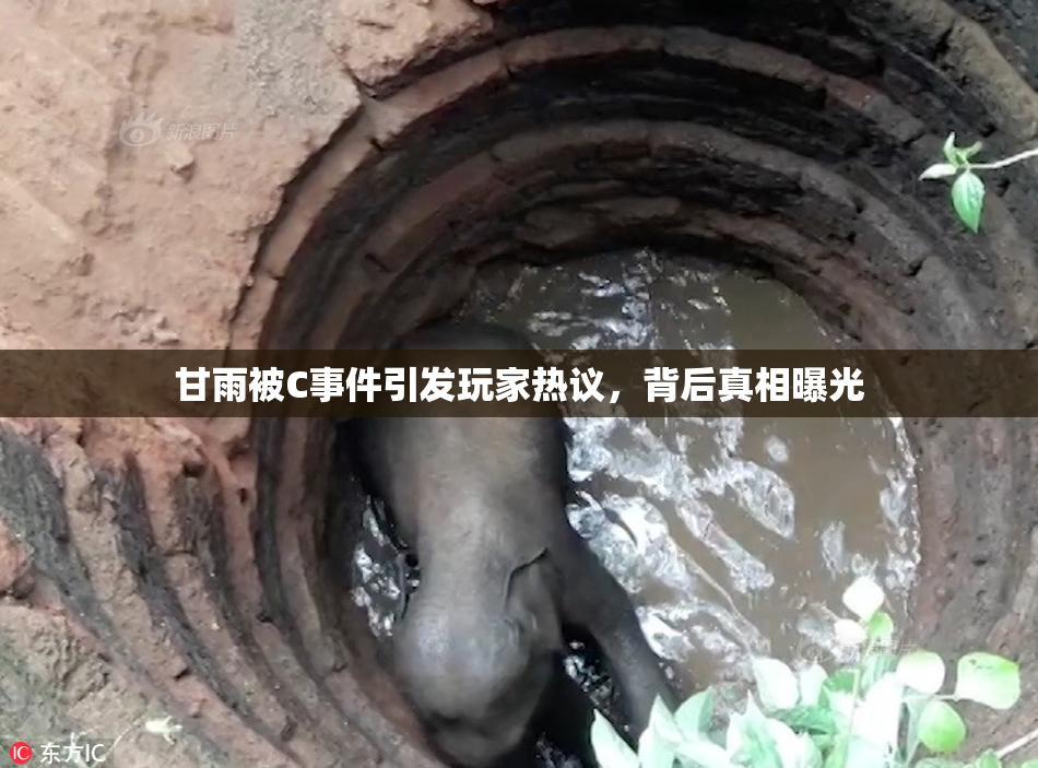 甘雨被C事件引发玩家热议，背后真相曝光