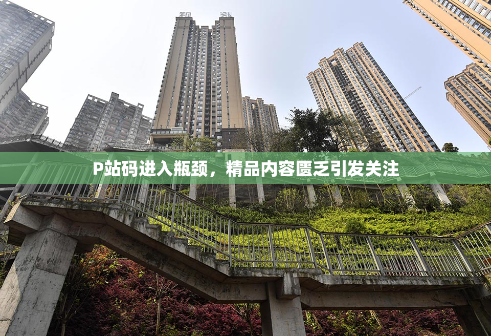 P站码进入瓶颈，精品内容匮乏引发关注