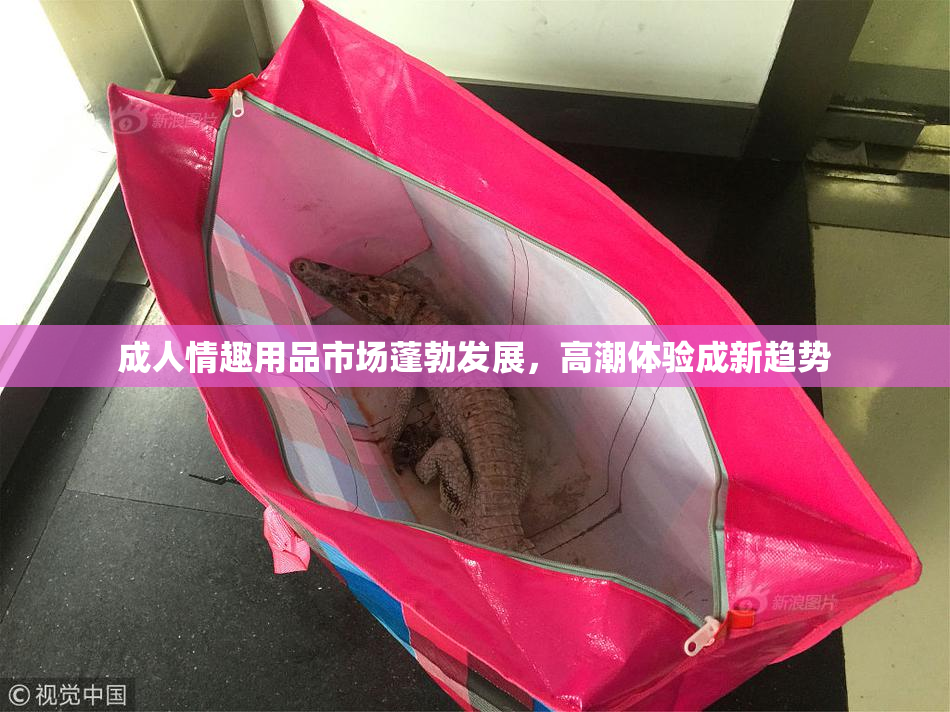成人情趣用品市场蓬勃发展，高潮体验成新趋势