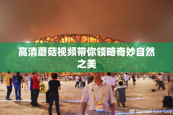 高清蘑菇视频带你领略奇妙自然之美