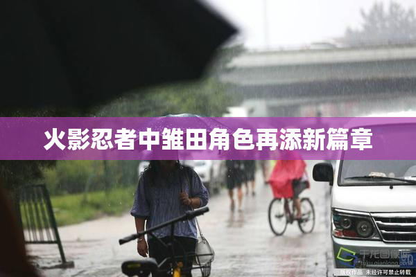 火影忍者中雏田角色再添新篇章