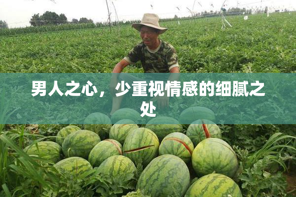 男人之心，少重视情感的细腻之处