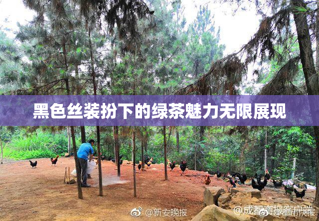 黑色丝装扮下的绿茶魅力无限展现