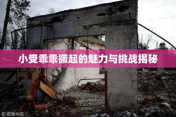 小受乖乖撅起的魅力与挑战揭秘