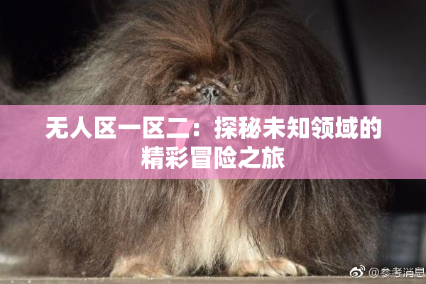 无人区一区二：探秘未知领域的精彩冒险之旅