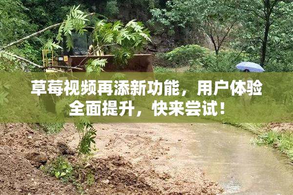 草莓视频再添新功能，用户体验全面提升，快来尝试！