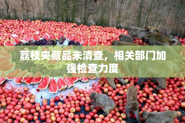 荔枝夹藏品未清查，相关部门加强检查力度