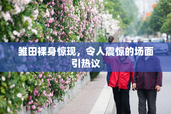 雏田裸身惊现，令人震惊的场面引热议